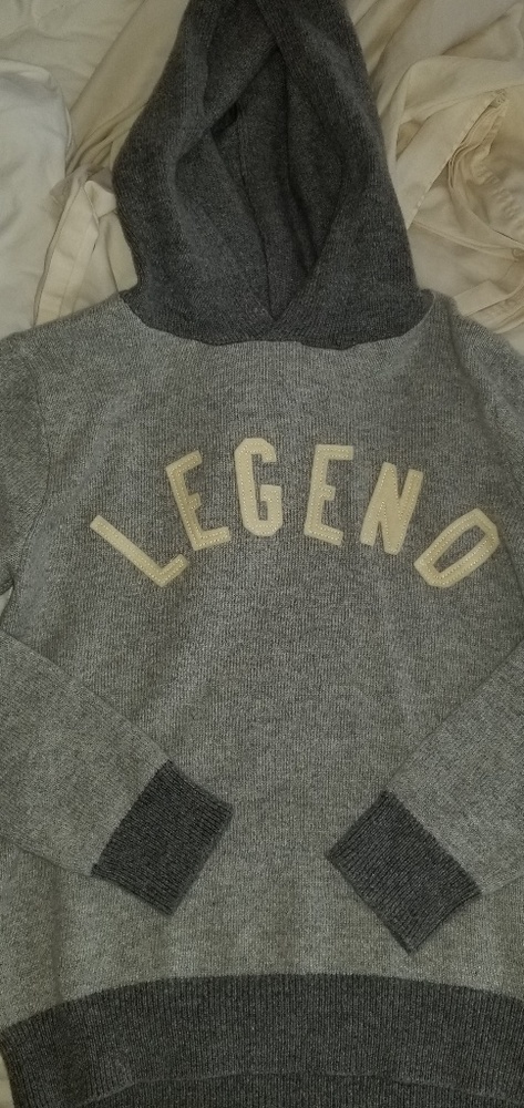 Boys Large Hooded Sweater knit GAP